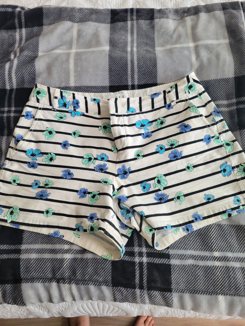 Elle Floral Stripe Shorts - Blue & Mint on Cream